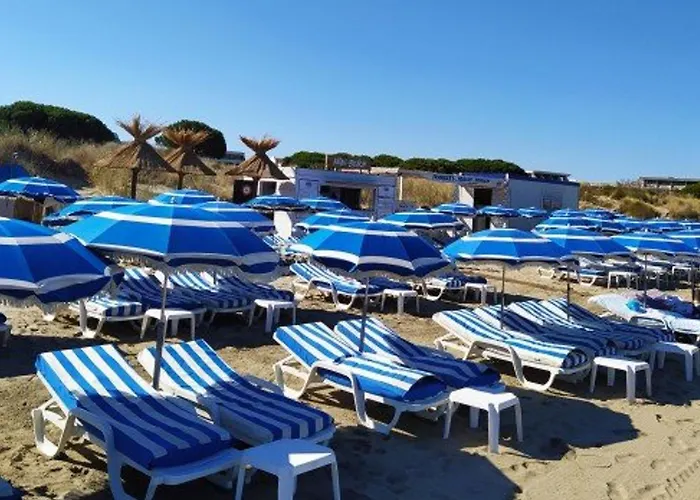 2 Pieces Renove, Rdc, Terrasse 25m², Piscines, A 400m De La Plage, Confort - Fr-1-307-125 *